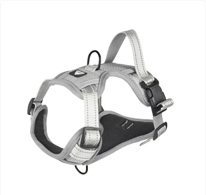 Reflective Dog Harness with Leash - Durable & Stylish - Pawsomes