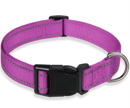 Adjustable Dog Collar with Chest Strap - Safe & Stylish - Pawsomes