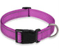 Adjustable Dog Collar with Chest Strap - Safe & Stylish - Pawsomes