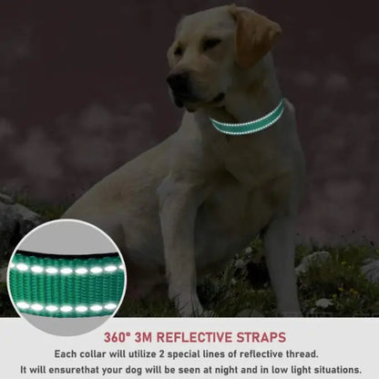 Adjustable Dog Collar with Chest Strap - Safe & Stylish - Pawsomes