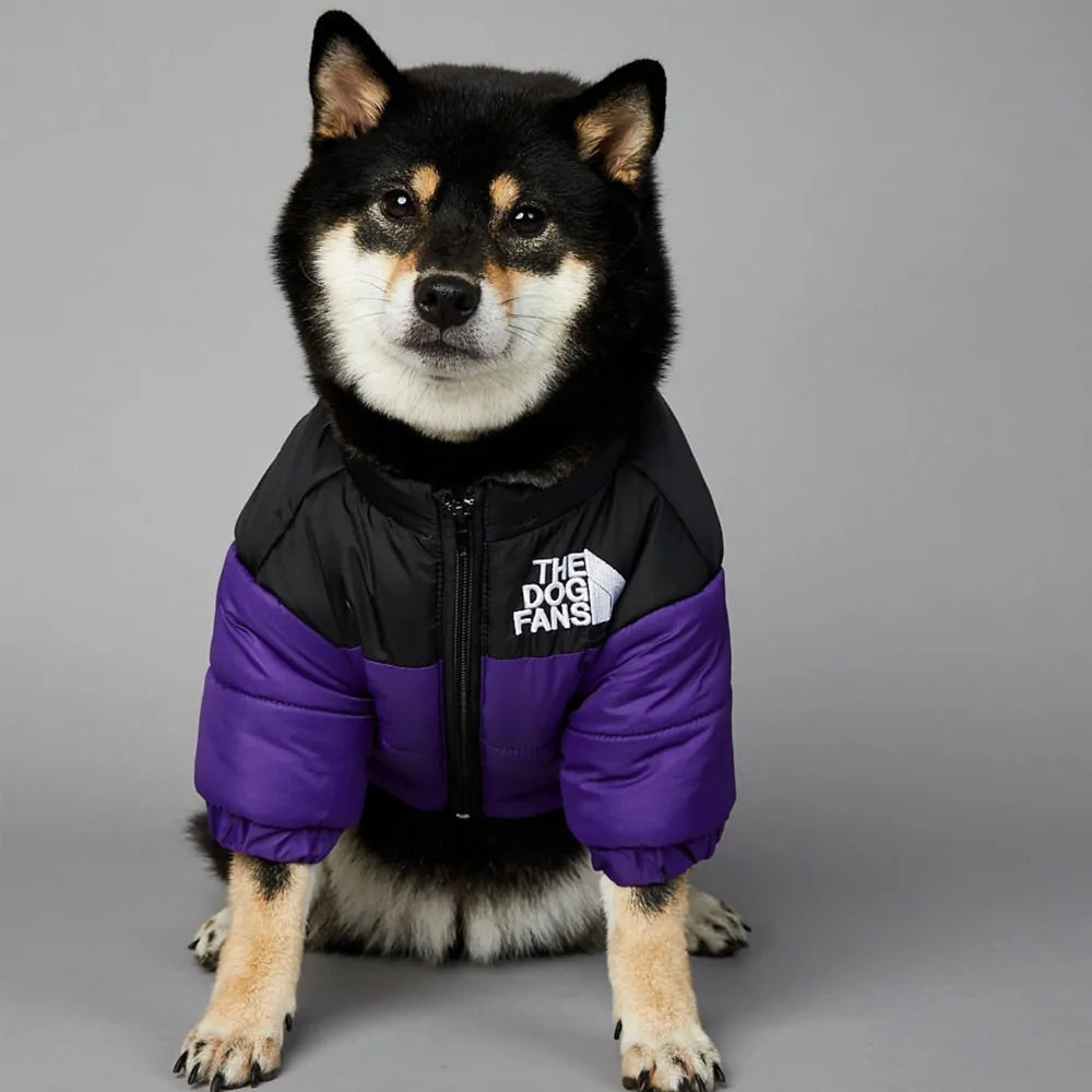 Luxury Winter Dog Jacket - Stylish & Cozy for Cold Days - Pawsomes