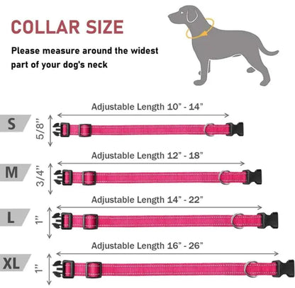 Adjustable Dog Collar with Chest Strap - Safe & Stylish - Pawsomes