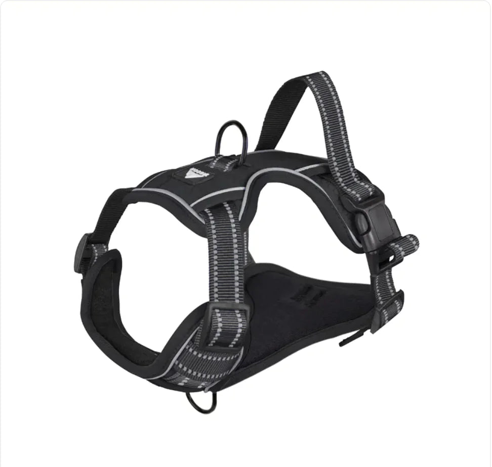 Reflective Dog Harness with Leash - Durable & Stylish - Pawsomes