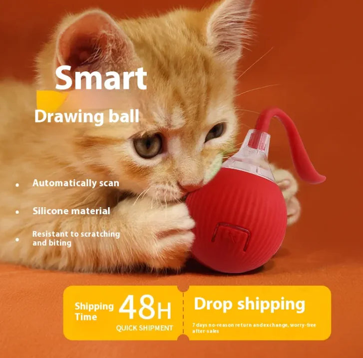 Cat Toy Ball - Rolling Fun Cat Toy Ball - Pawsomes