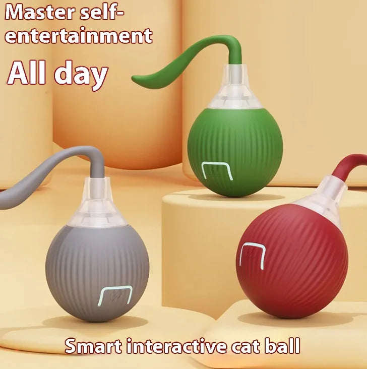 Cat Toy Ball - Rolling Fun Cat Toy Ball - Pawsomes