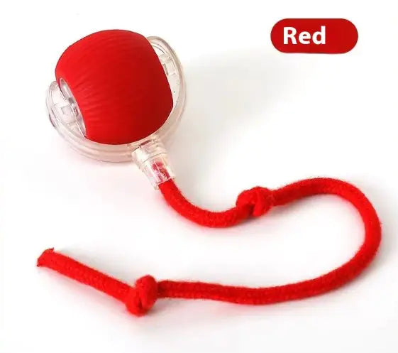 Speedy Tail Pet Toy Ball - Interactive Cat Toy - Pawsomes