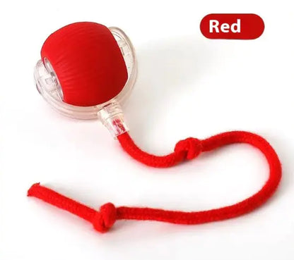 Speedy Tail Pet Toy Ball - Interactive Cat Toy - Pawsomes