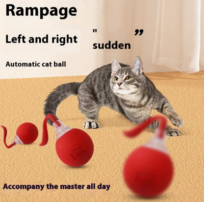 Cat Toy Ball - Rolling Fun Cat Toy Ball - Pawsomes