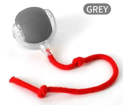 Speedy Tail Pet Toy Ball - Interactive Cat Toy - Pawsomes