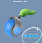 Speedy Tail Pet Toy Ball - Interactive Cat Toy - Pawsomes