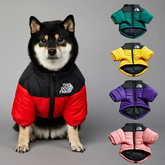 Luxury Winter Dog Jacket - Stylish & Cozy for Cold Days - Pawsomes