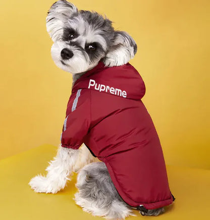 Winter Dog Jacket with Plus Velvet Lining - Pawsomes