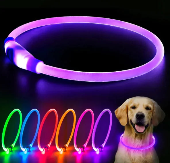 LED Rechargeable Dog Collar - Rechargeable & High Visibility - Pawsomes