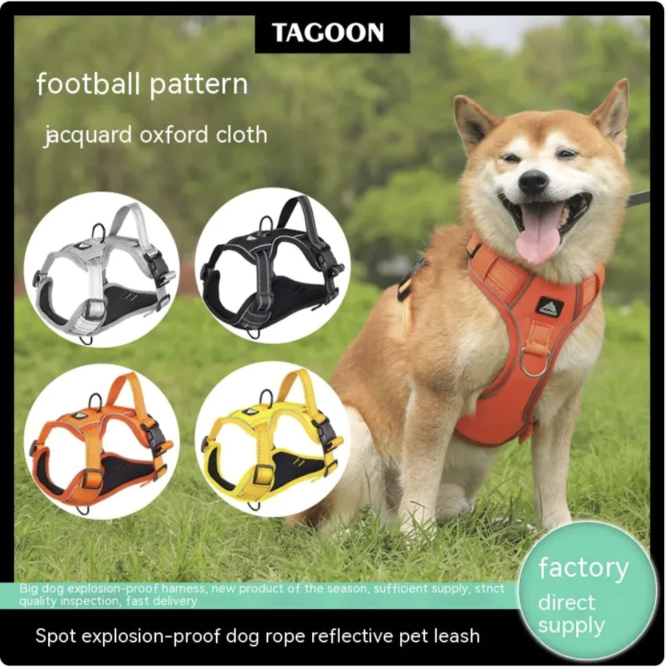 Reflective Dog Harness with Leash - Durable & Stylish - Pawsomes