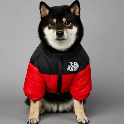 Luxury Winter Dog Jacket - Stylish & Cozy for Cold Days - Pawsomes