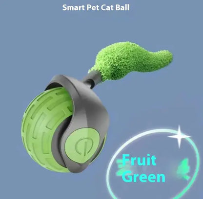 Speedy Tail Pet Toy Ball - Interactive Cat Toy - Pawsomes