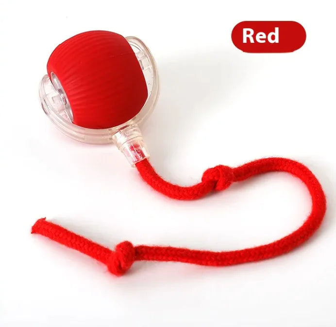 Cat Toy Ball - Rolling Fun Cat Toy Ball - Pawsomes