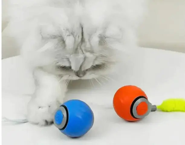 Speedy Tail Pet Toy Ball - Interactive Cat Toy - Pawsomes