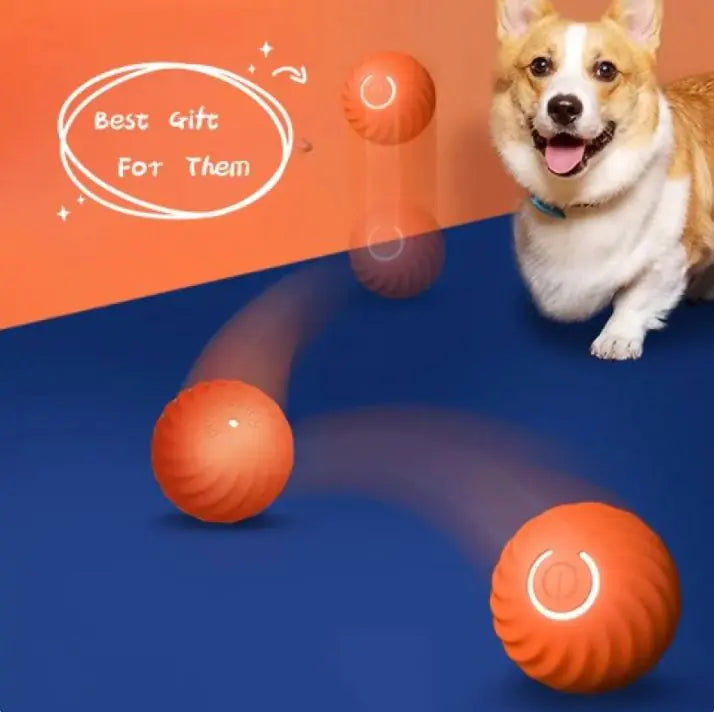 Rubber Ball for Dog - Rubber Ball Toy For Dogs - Pawsomes