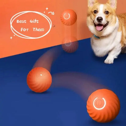 Rubber Ball for Dog - Rubber Ball Toy For Dogs - Pawsomes