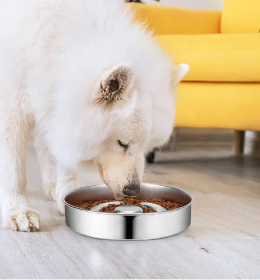 Pet Slow Feeder - Stainless Steel Pet Slow Feeder - Pawsomes