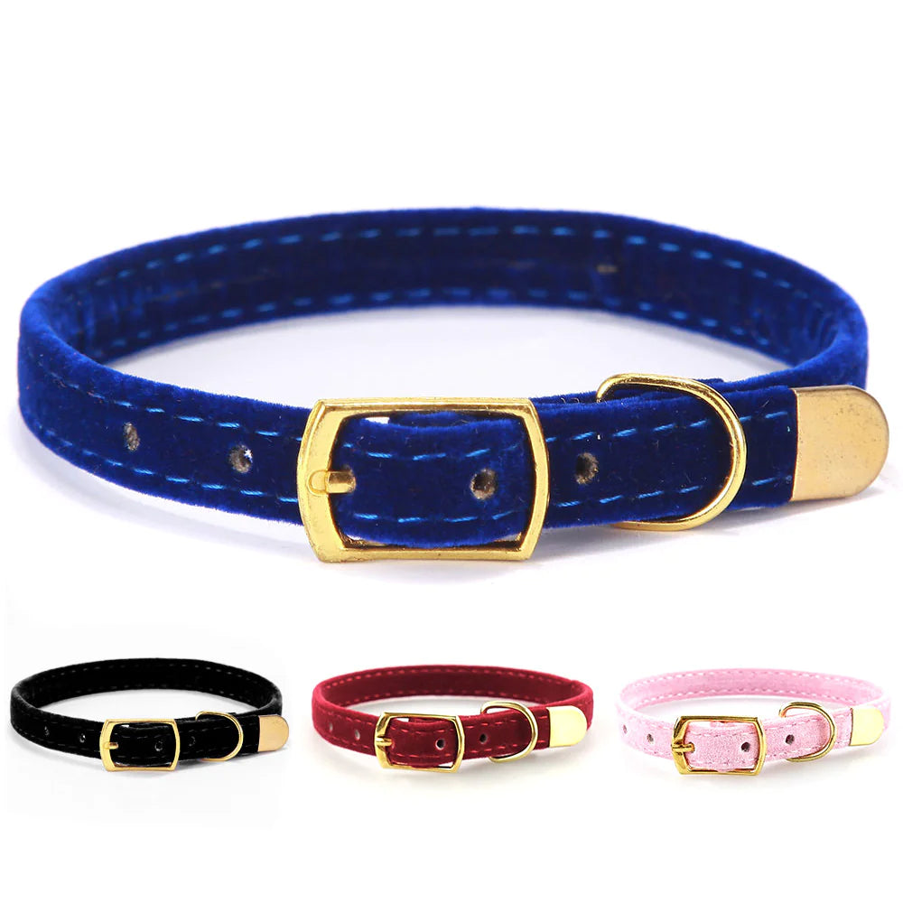 Cat Collar with Breakaway Buckle - Stylish & Safe - Pawsomes