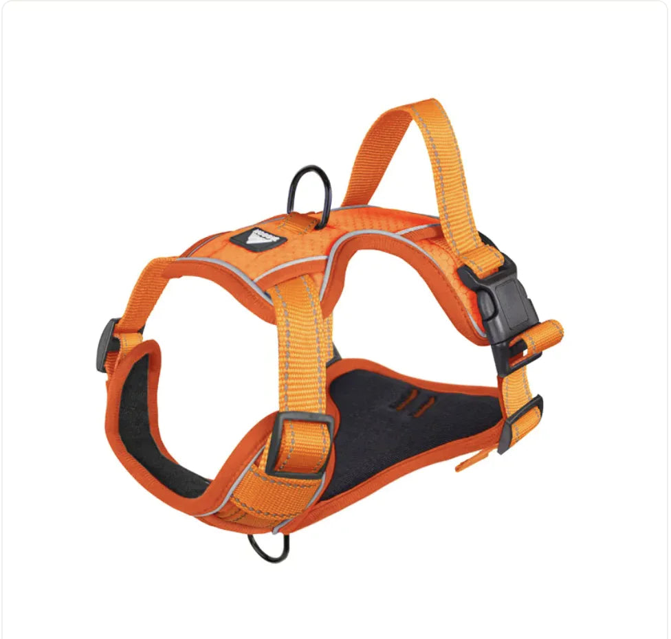 Reflective Dog Harness with Leash - Durable & Stylish - Pawsomes