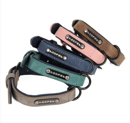 Adjustable Dog Collar & Leash Set - Durable & Stylish - Pawsomes