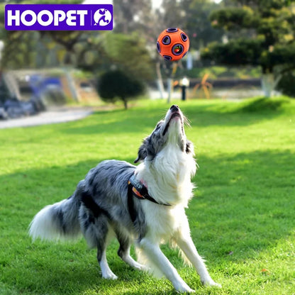 HOOPET Interactive Ball Chew Toy For Dog - Pawsomes