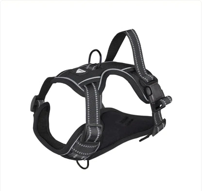 Reflective Dog Harness with Leash - Durable & Stylish - Pawsomes