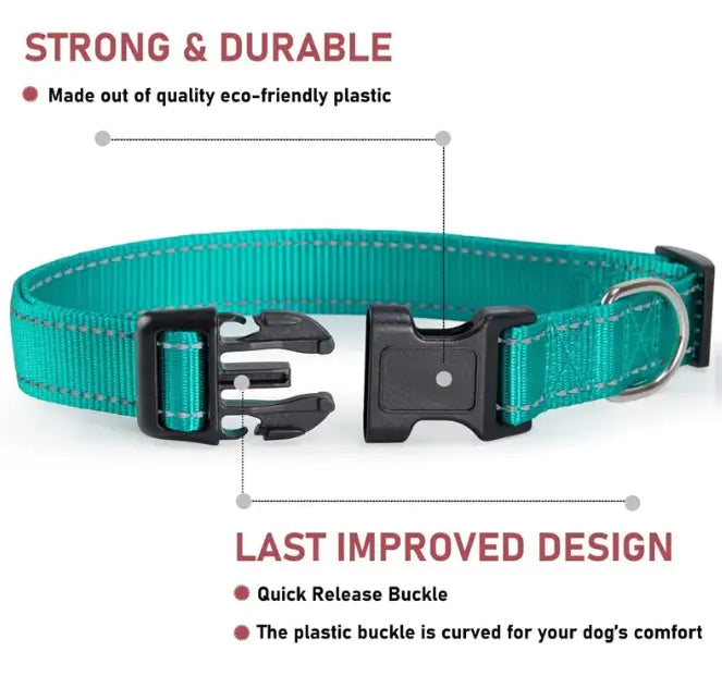 Adjustable Dog Collar with Chest Strap - Safe & Stylish - Pawsomes