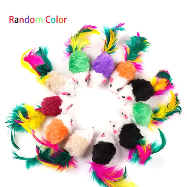 Interactive Cat Toys - Feather & Ball Fun for Your Cat - Pawsomes